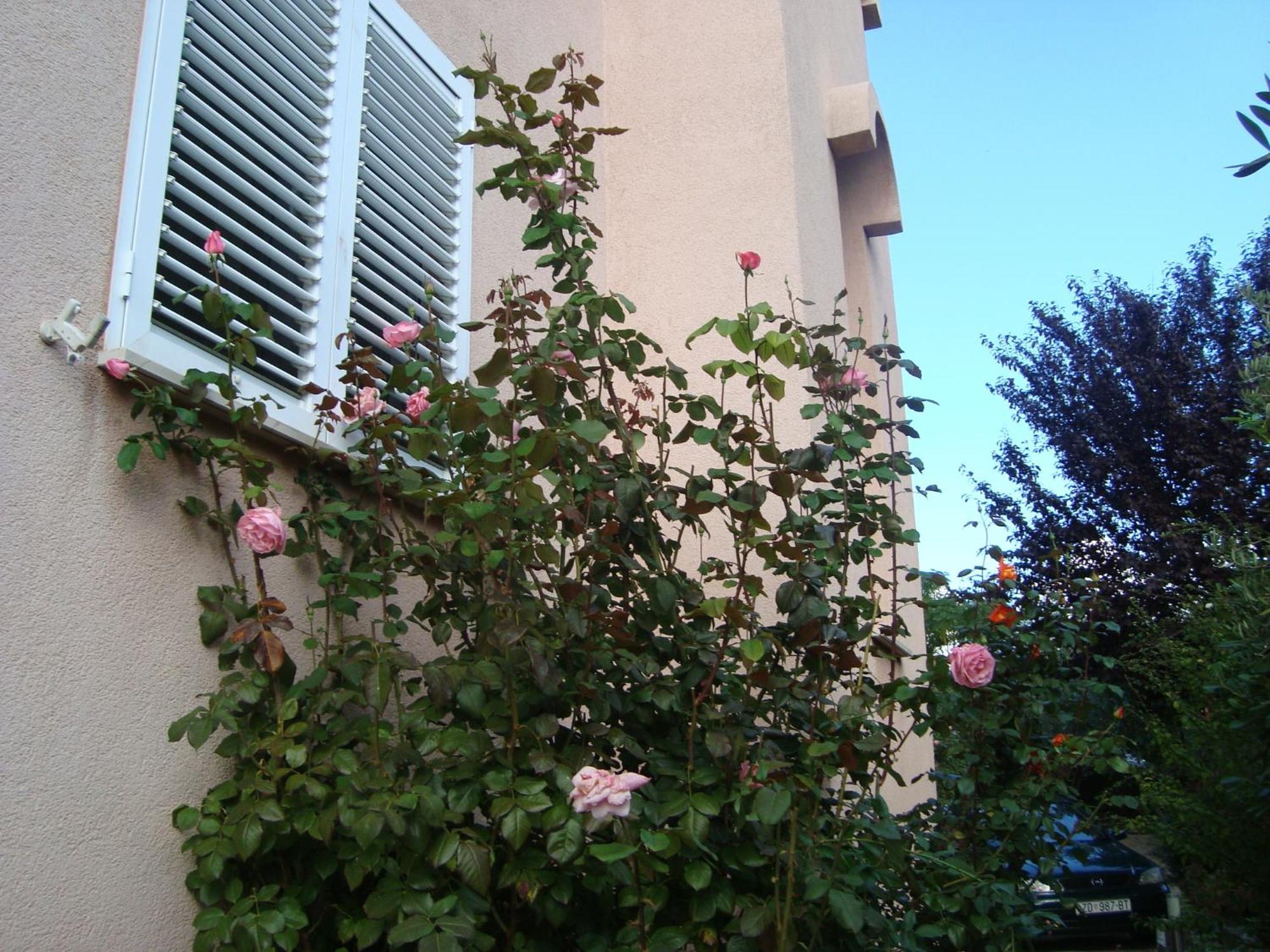 Apartments Eja Zadar Zewnętrze zdjęcie